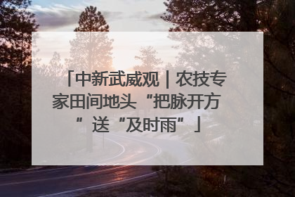 中新武威观｜农技专家田间地头“把脉开方”送“及时雨”